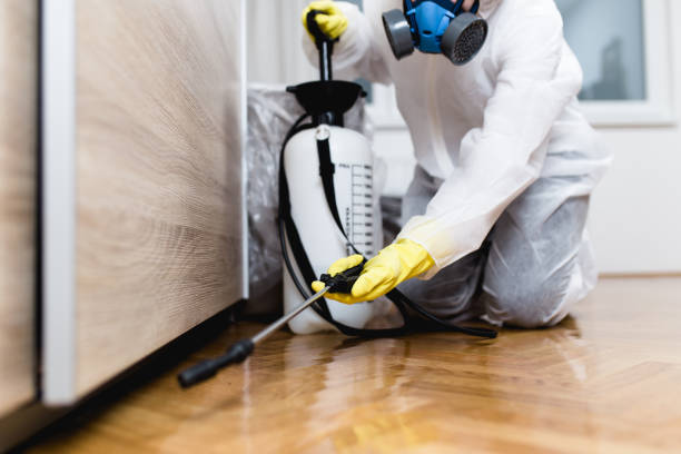 Best Pest Removal Services  in Payson, UT