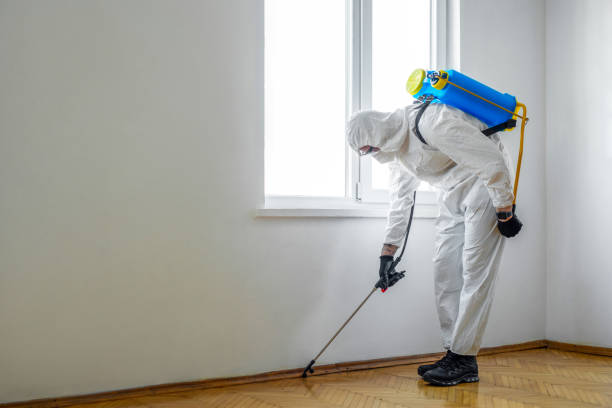 Payson, UT Pest Control Company