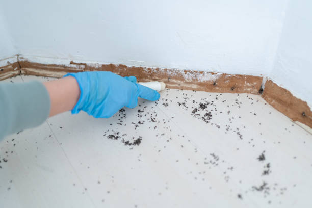 Best Wildlife Control Services  in Payson, UT
