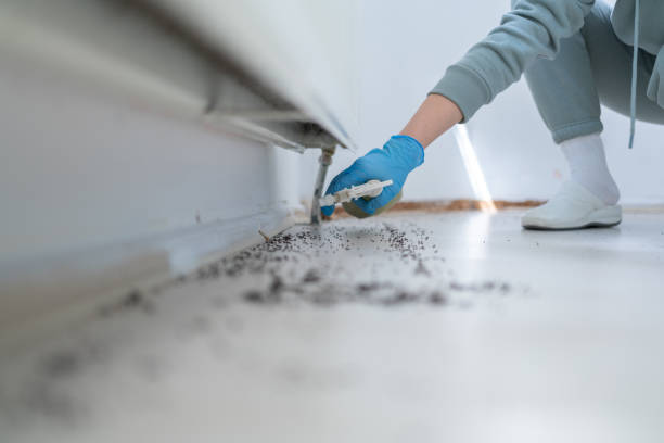 Best Best Pest Control Companies  in Payson, UT